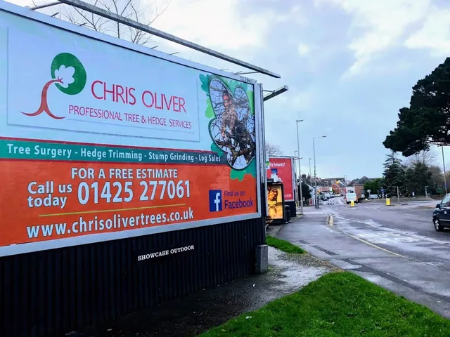 Chris Oliver Tree Surgeon
