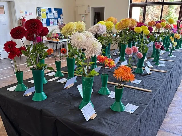 Highcliffe Horticultural Society